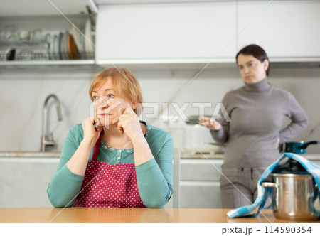 Adult woman in apron and young woman during quarrel in kitchen Adult woman in apron and young woman during quarrel in kitchen 114590354