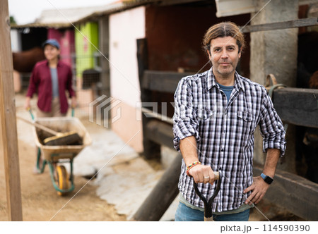 Male farmer caring for cows in the backyard of farm 114590390