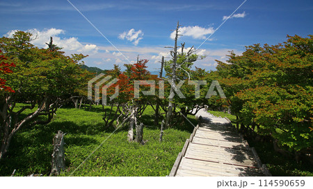 大台ケ原 奈良県 大台ケ原 奈良県 114590659
