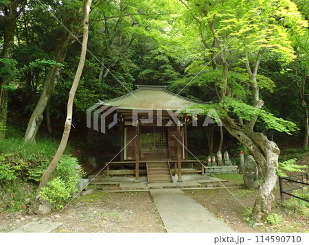 愛知県瀬戸市の寺院 定光寺境内 愛知県瀬戸市の寺院 定光寺境内 114590710