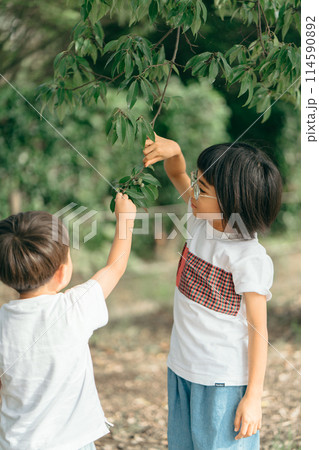 子供 遊ぶ 仲良し 114590892
