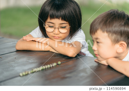 子供 遊ぶ 仲良し 114590894