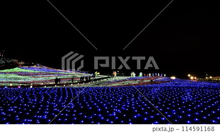 千葉県東京ドイツ村のイルミネーション 千葉県東京ドイツ村のイルミネーション 114591168