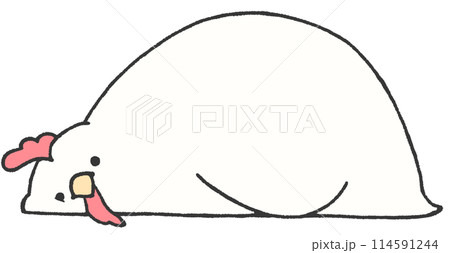 ねころんでこちらを見るニワトリ 114591244