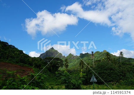 モーレア島の風景 114591374
