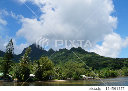 モーレア島の風景 モーレア島の風景 114591375