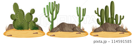 Desert Cactus Collection Vector Illustration 114591585