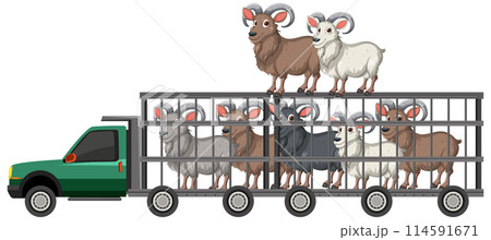 Vector Illustration of Animals in a Truck 114591671
