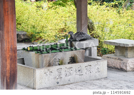 京都　松尾大社　手水舎（京都府京都市西京区） 114591692