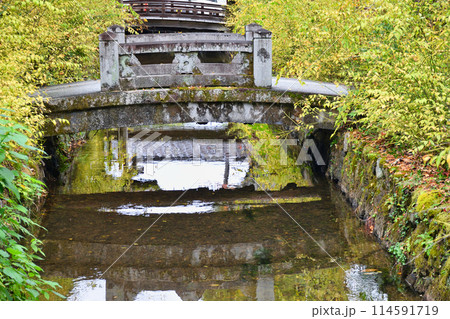 京都　松尾大社の美しい境内（京都府京都市西京区） 114591719
