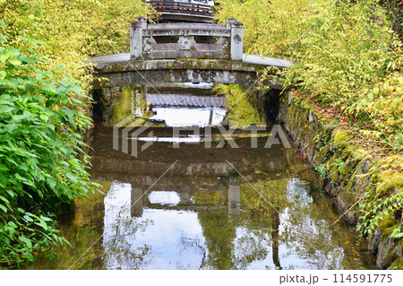 京都　松尾大社の美しい境内（京都府京都市西京区） 114591775
