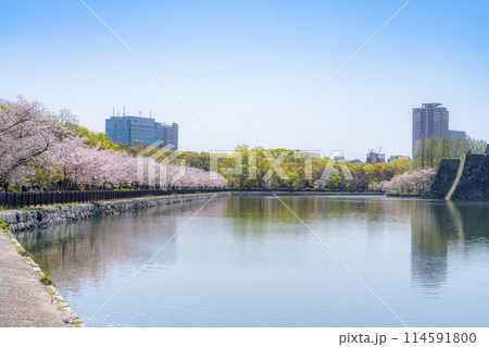 【桜】春の大阪城公園 【桜】春の大阪城公園 114591800