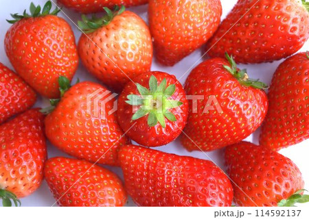 いちご（とちあいか） 114592137