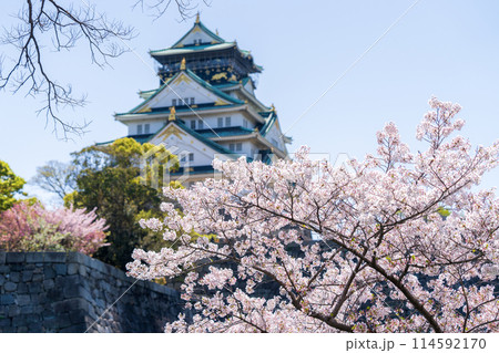 【桜】春の大阪城公園 114592170