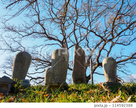 遊水地整備によって水没した、旧谷中村の跡地。 寺社仏閣の石碑や仏像などが残る。日本国栃木県にて。20 遊水地整備によって水没した、旧谷中村の跡地。 寺社仏閣の石碑や仏像などが残る。日本国栃木県にて。20 114592389