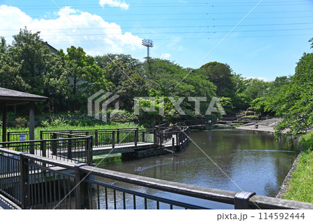 岸根公園　神奈川県横浜市港北区岸根町 114592444