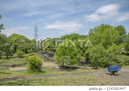 岸根公園　神奈川県横浜市港北区岸根町 114592447