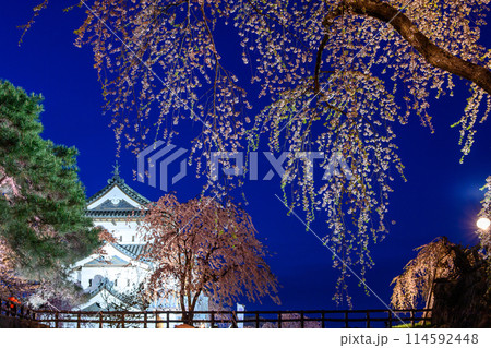 弘前城夜の絶景　ライトアップされた天守閣と枝垂れ桜　青森県 114592448