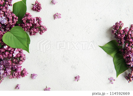Lilac flowers background. Lilac flowers background. 114592669