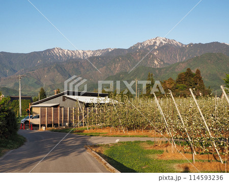 餓鬼岳と里山 餓鬼岳と里山 114593236