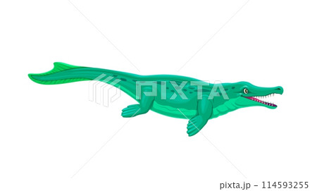 Metriorhynchus prehistoric dinosaur character. Isolated cartoon vector marine crocodylomorph from middle jurassic, belonged to metriorhynchinae subclade, with streamlined body adapted for aquatic life Metriorhynchus prehistoric dinosaur character. Isolated cartoon vector marine crocodylomorph from middle jurassic, belonged to metriorhynchinae subclade, with streamlined body adapted for aquatic life 114593255