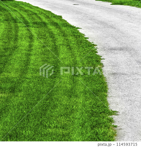 Beautiful lawn in the backyard Beautiful lawn in the backyard 114593715