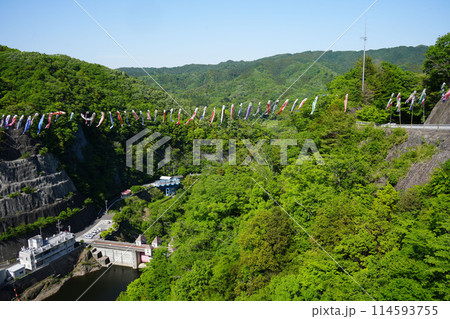 竜神大吊橋　こいのぼり祭り 114593755