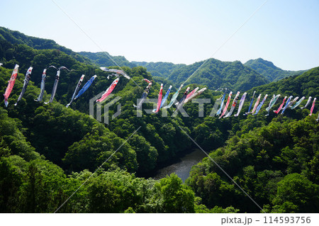 竜神大吊橋　こいのぼり祭り 114593756