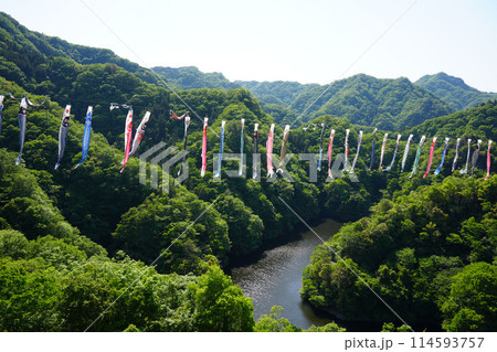 竜神大吊橋 こいのぼり祭り 竜神大吊橋 こいのぼり祭り 114593757