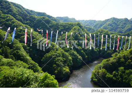 竜神大吊橋　こいのぼり祭り 114593759