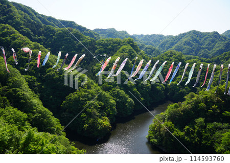 竜神大吊橋　こいのぼり祭り 114593760
