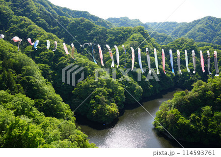 竜神大吊橋　こいのぼり祭り 114593761