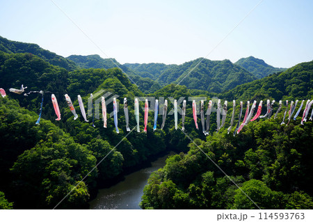 竜神大吊橋　こいのぼり祭り 114593763