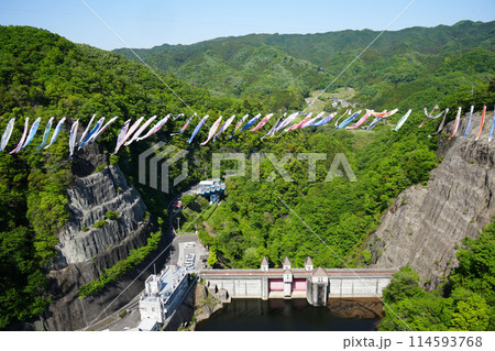 竜神大吊橋　こいのぼり祭り 114593768