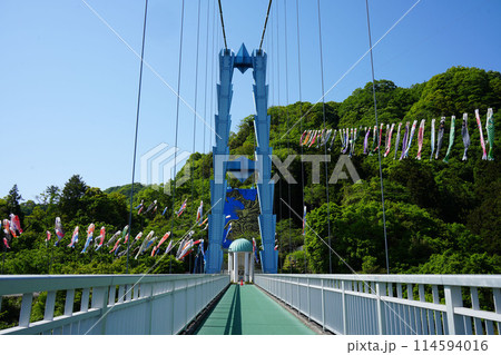 竜神大吊橋　こいのぼり祭り 114594016