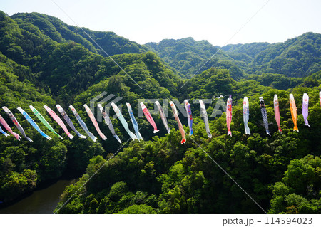 竜神大吊橋　こいのぼり祭り 114594023