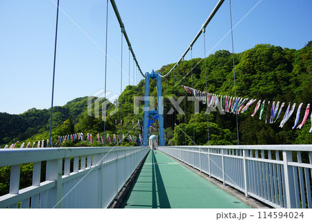 竜神大吊橋　こいのぼり祭り 114594024