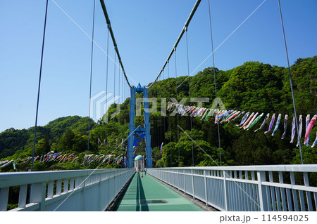 竜神大吊橋　こいのぼり祭り 114594025