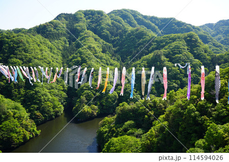 竜神大吊橋　こいのぼり祭り 114594026