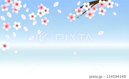シンプルな桜の花のイラスト 114594149