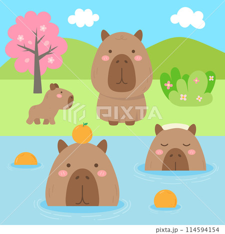 cute sweet hand drawn capybara chilling in the hot spring illustration cute sweet hand drawn capybara chilling in the hot spring illustration 114594154