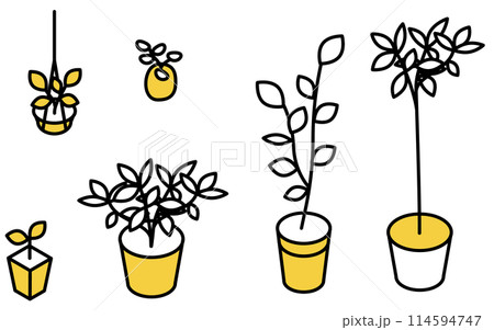 観葉植物のセット、アイソメトリックイラスト 観葉植物のセット、アイソメトリックイラスト 114594747