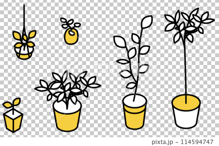 観葉植物のセット、アイソメトリックイラスト 観葉植物のセット、アイソメトリックイラスト 114594747