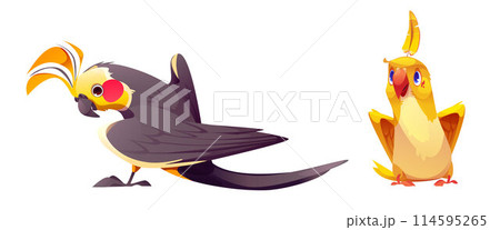 Cute cartoon parrot with colorful feathers. Cute cartoon parrot with colorful feathers. 114595265