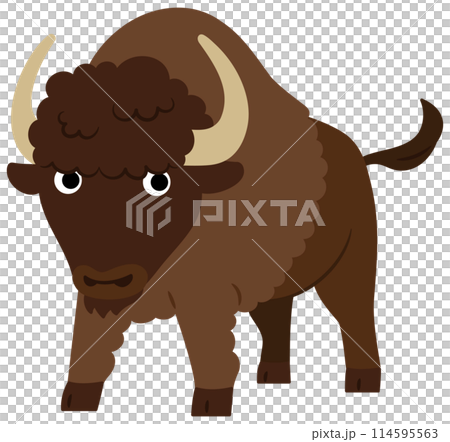 端莊的野牛的插圖 114595563