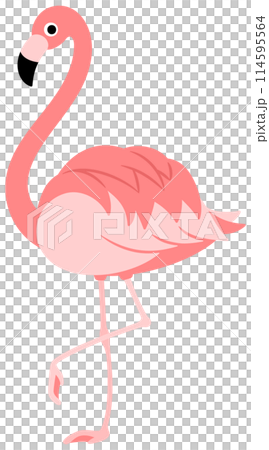 色彩繽紛的火烈鳥插畫 色彩繽紛的火烈鳥插畫 114595564