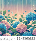 雨の中のあじさい 114595682