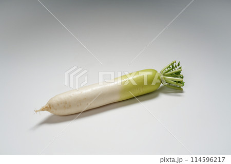 白い背景に一本の大根 白い背景に一本の大根 114596217