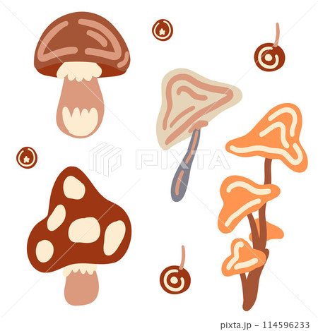 Flat design mushroom forest berries set Flat design mushroom forest berries set 114596233