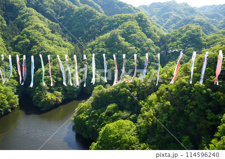 竜神大吊橋　こいのぼり祭り 114596240
